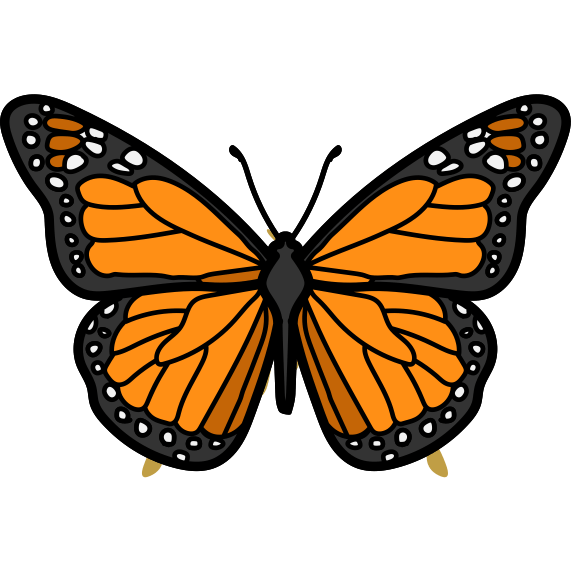 Home 3 Tenison Park Pollination Garden Logo