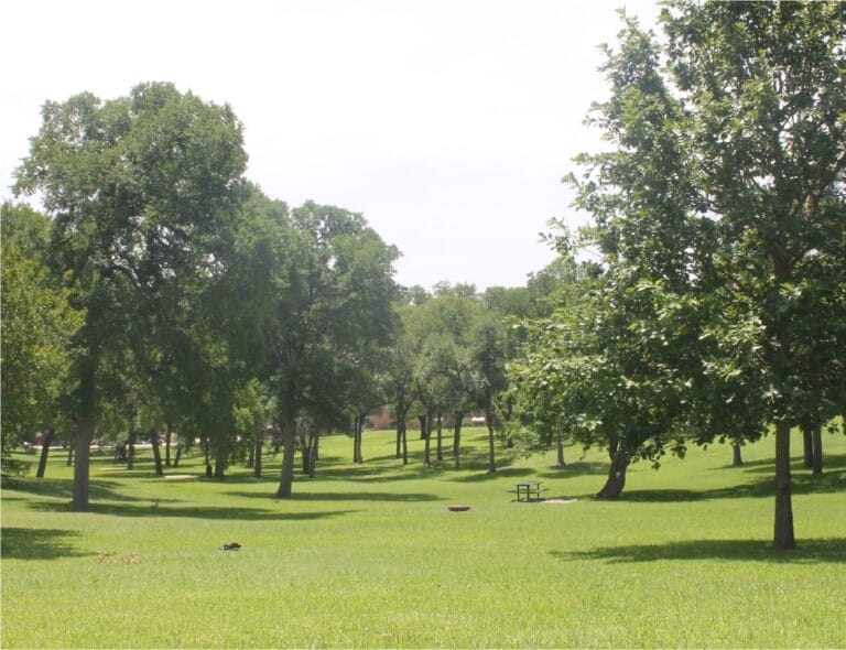 samuell grand park 010 768x590